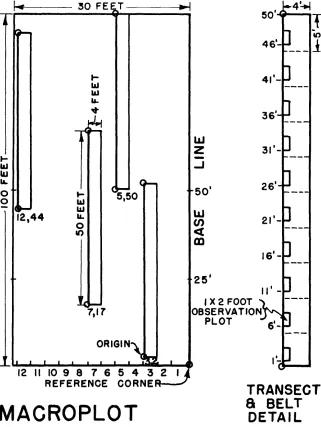 FIGURE 2. The macroplot 