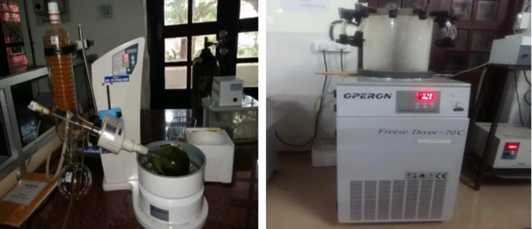 Fig 1:  Showing rotary flash evaporator and freeze dryer  Sample Preparation  