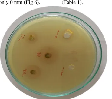 Table 1: showing measurements of zone of inhibition of SM and EF  