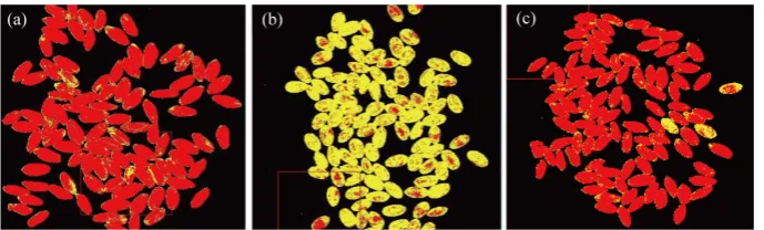 Figure 3. Example images generated using the HySpex VNIR-1600 instrument and ENVI software (SAM-based analyses)