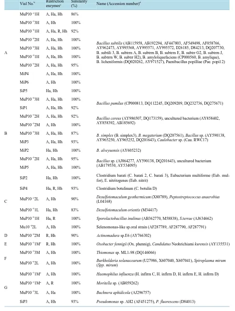 Table 1. Affiliation of microorganisms by MERFLPa of 16S rDNA(A-H) and 18S rDNA(I-M).                               