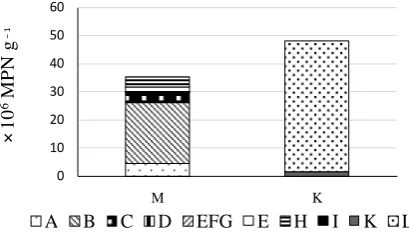 Figure 1. Numbers of microbial groups estimated by MPN and MERFLP in ko-mekouji-miso (M), and komekouji (K)