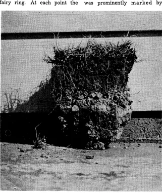 FIGURE 2. Soil sample 