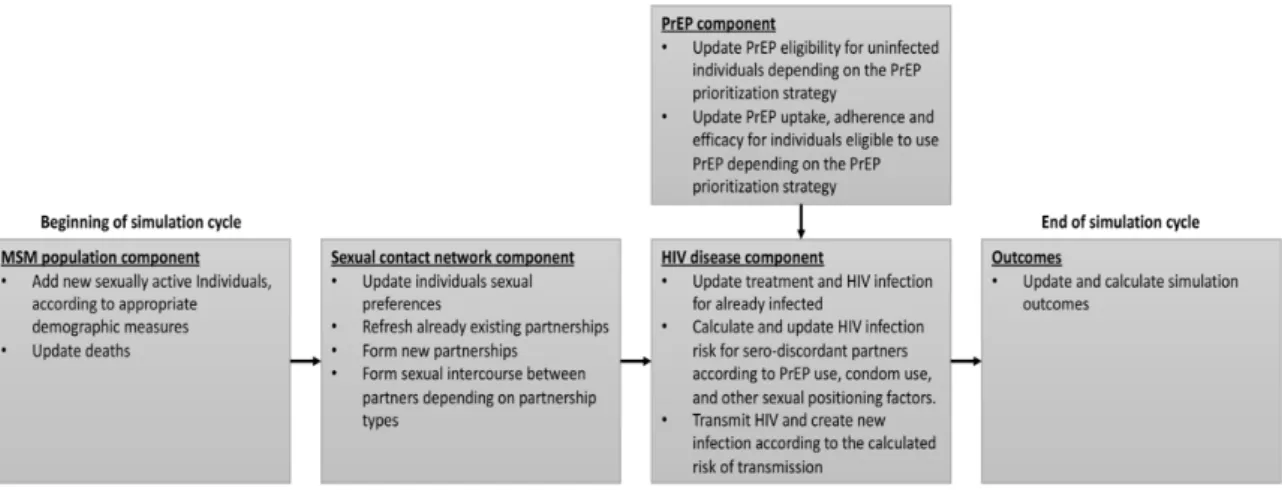 Figure 1. Summary of updates in model components during each simulation cycle. Note: 