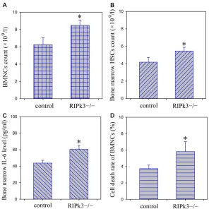 Figure 4. Bone marrow BMNCs and HSCs count, IL-6 level and cell death rate analysis. A