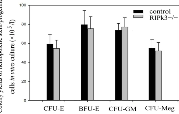 Figure 5. Histological analysis of bone marrow tissue in mice (100×), stained by HE. A