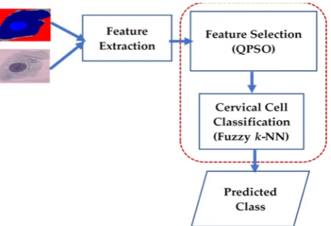 Figure 3. Layout of proposed quantum hybrid (Q-Fuzzy) technique to select and classify cells in smeared cervical images 