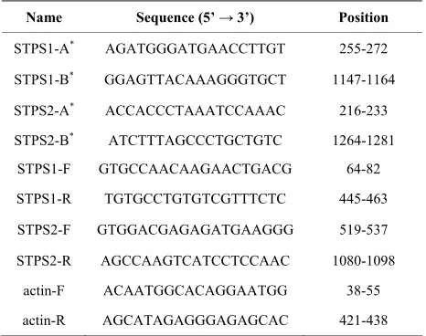 Table 1. Primers used in the sequencing (*) and RT-PCR for the STPS1 e STPS2 genes. 