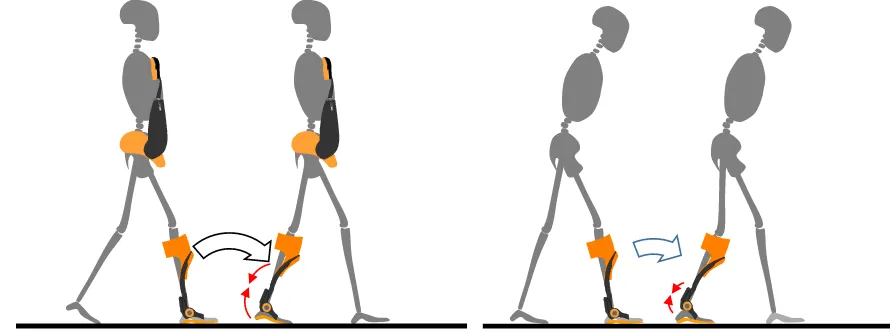 Figure 4 synergetic effect of the trunk orthosis with joints providing resistive force and an ankle–foot orthosis on rocker function in subjects with a hemiplegic gait.