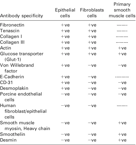 TABLE I. Expression of Extracellular Matrix and Cellular Proteins in the Porcine Meninges