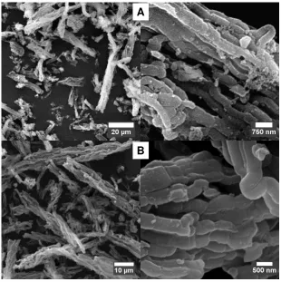 Figure 2. Representative SEM images of (A) Al-SBA-15(4); and (B) the parent SBA-15. 