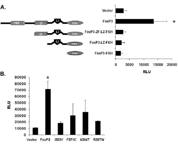 Figure 2.3.  A critical activity of FoxP3 is required for LTR enhancement.   