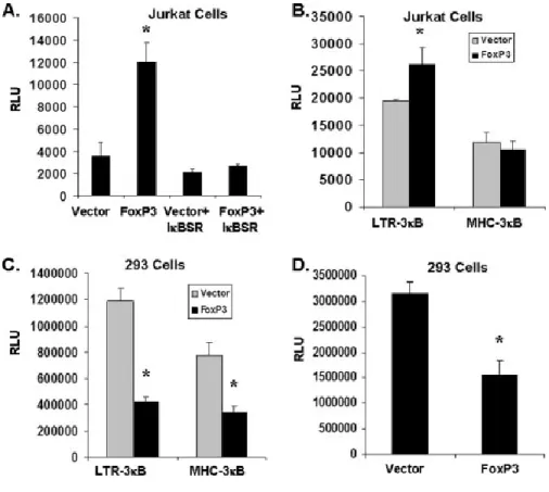 Figure 2.5  FoxP3 affects LTR expression via an NF-κB sequence-dependent and cell type  dependent mechanism