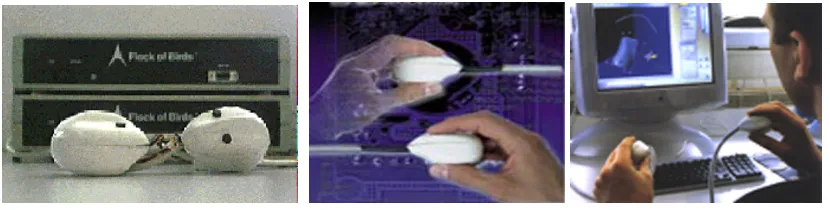 Figure 29:  Two children using two mice with one computer.  Figure 30, 31: Single user and collaborative stretching