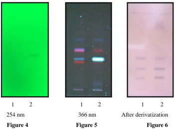 Figure 4                                Figure 5                                 Figure 6 