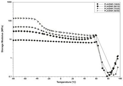 Figure 4. Storage Modulus (E’) versus temperature for PLA/ENR electrospun blends.                                   