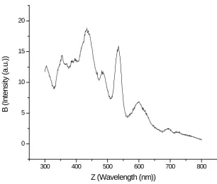 Figure 4. FESEM image of of advanced ARMC shielding material.                                                  