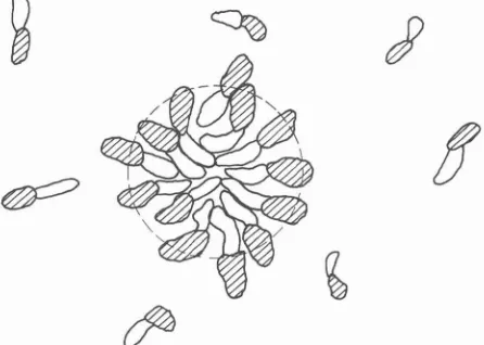 FIG. 2. instant in time for amphiphillic molecules in -A cross-section view of the molecular packing at some a micelle containing 