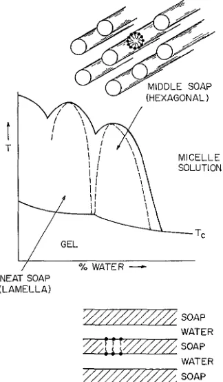 FIG. 3. - Illustration of a typical phase diagram for a simple soap. See Skoulius [5] for further details