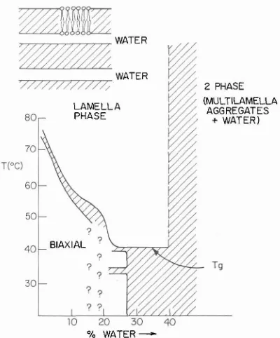 FIG. 4. In addition there are extensive extra membraneous structures - A schematic view of thejluid mosaic model of biological membranes [6]