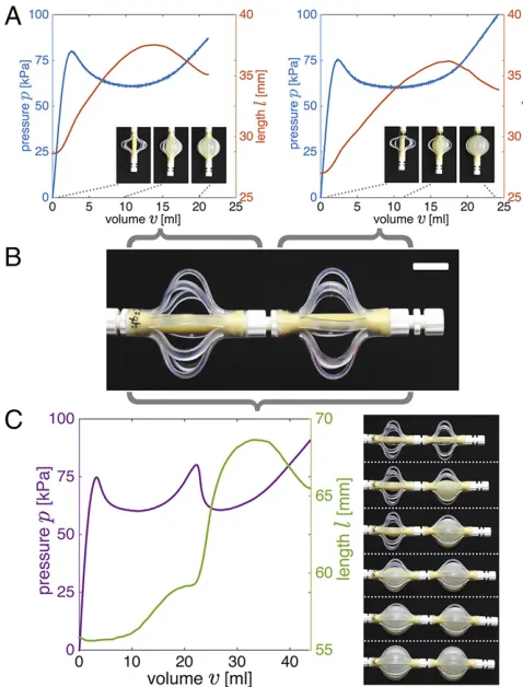 Fig. 1.(A) Outer and stiffer braids are added to the latex tube to create fluidicsegments with highly nonlinear response