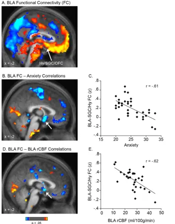 Figure 3. Functional connectivity between the BLA and mPFC is inversely correlated with BLA perfusion and anxiety levels