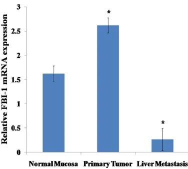 Figure 1. The mRNA level of FBI-1 in normal mucosa, primary tumor, and liver metastasis