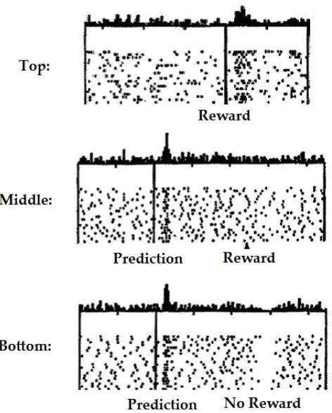 Figure 1. Dopamine activity, taken from Schultz et al. (1997).