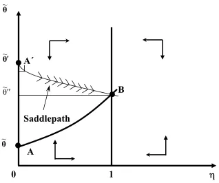 Figure 3:  Stability of the Balanced-Growth Equilibrium 