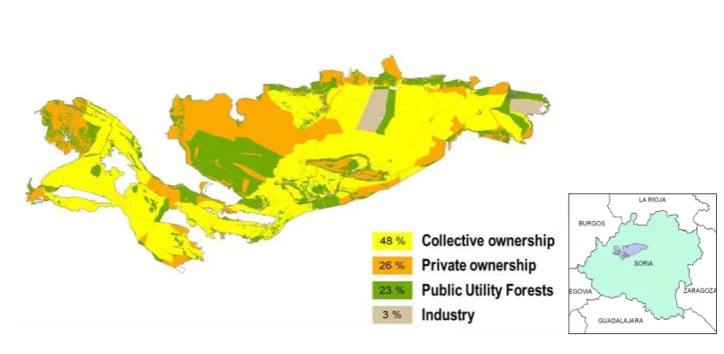 Figure 2: Structure of ownership in the Sierra de Cabrejas. Source: (CESEFOR, 2008).  