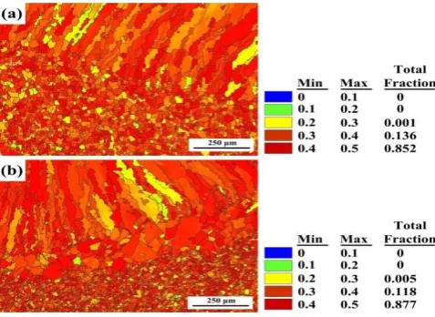 Fig. 10 Schmid factor of the different thicknesses of plates along the fusion line: (a) 1670-8 and (b) 