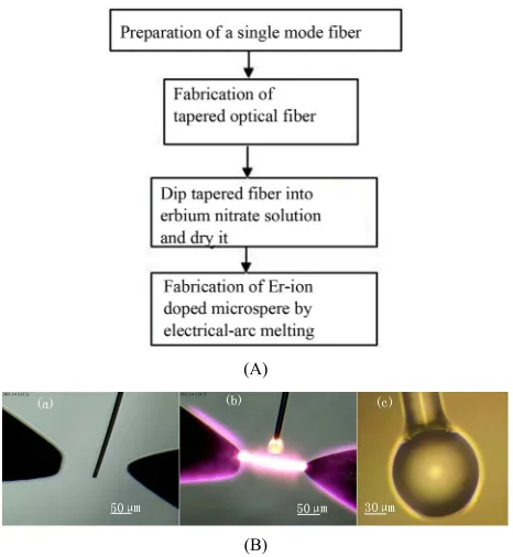 Figure 2. The setup of using HF acid to fabricate low loss biconical optical tapered. (a) Schematic of a biconical ta- pered fiber