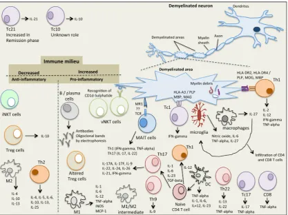Figure 1.Figure The immunological complexity of the immune/cytokine network in multiple sclerosis. 1. The immunological complexity of the immune/cytokine network in multiple sclerosis. 