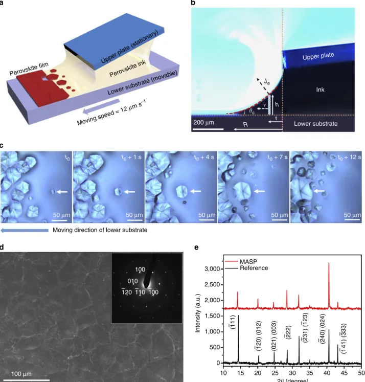 Figure 1 | Meniscus-assisted solution printing of FA 0.85 MA 0.15 PbI 2.55 Br 0.45 perovskite crystal ﬁlms