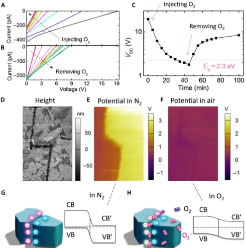 Fig. 4. Oxygen-sensitive APV effect. (A) Vanished APV due to oxygen injection, where the electrode spacing of OIHP solar cells was 100 mm