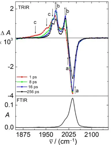 Table 1. Band positions of ground state bleaches and transient absorptions obtained from fits of the TRIR spectra usingLifetimes of vibrational relaxation ( pseudo Voigt profiles (see Fig