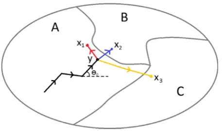 Fig. 1. Schematic representation of the movement model. The animaland assuming that the animal is a correlated walker with a step lengthdistribution that decays with increasing distance, the most likely movewould be tomove the longer distance in order to e