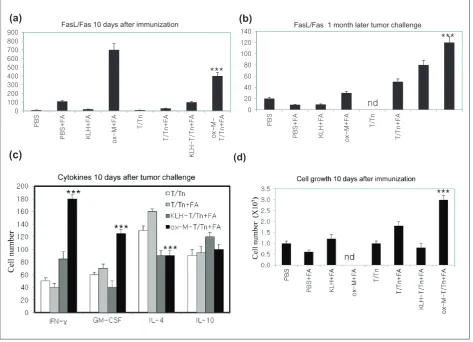 Figure 5. Cellular immunity after T/Tn immunization. Splenocytes from immunized mice were monitored for expression of Fas or indicative of activation of T cells