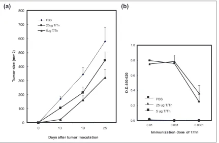 Figure 2. T/Tn expression in tumor cell lines. T/Tn expression was determined in murine cancer cells using flow cytometry