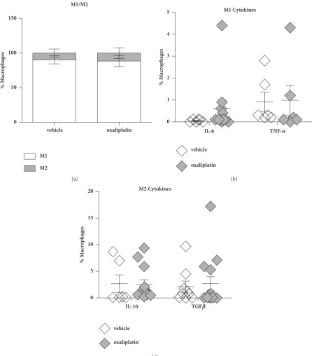 Figure 4:. To determine any+++++++++changes in the proportions of pro-inflammatory and anti-inflammatory macrophages, a set of gating strategies were used