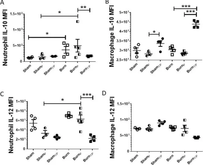 Figure 2.5: Neutrophil and macrophage IL-10 and IL-12 are differentially expressed after  single and double infections in burn mice