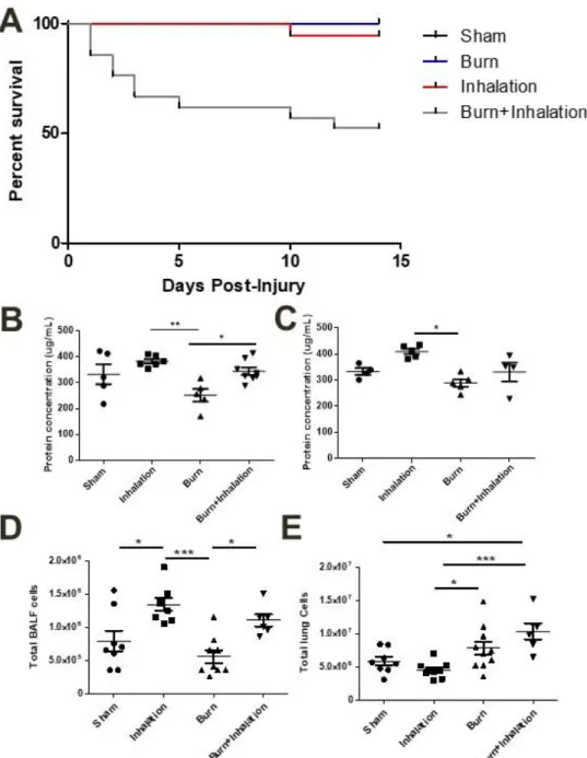 Figure 4.1: Combined injury results in increased mortality over time, while major markers  of pulmonary damage are elevated in an inhalation-dependent manner