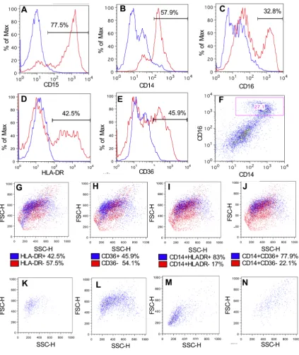 Figure 2. Flow cytometry strategy for identifying functionally polarised macrophage populations in BALF
