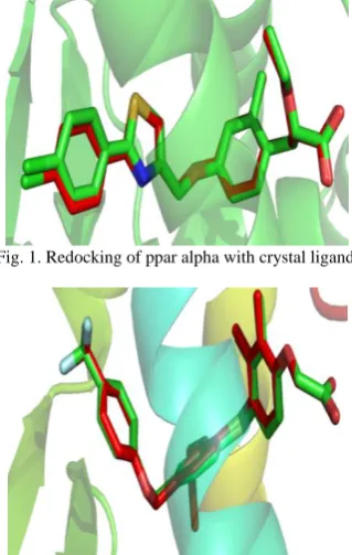 Fig. 1. Redocking of ppar alpha with crystal ligand.      