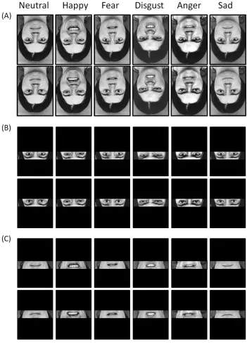 Figure 1Example images from Experiment 1 and Experiment 2. (A) Whole face images