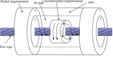 Figure 1. New magnetising structure model of wire rope 