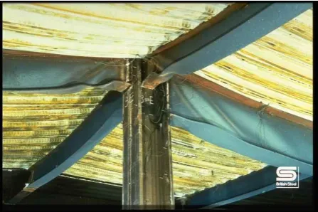 Fig. 1.  Shear buckling phenomenon in Cardington Fire Test [2] 