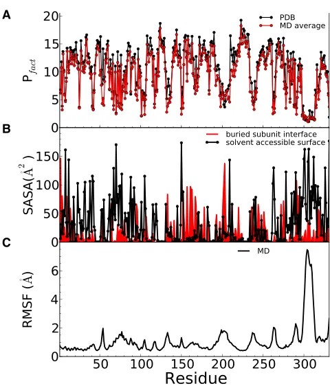 FIGURE 2Structural and dynamical characteristics of residues. (A) Pro-