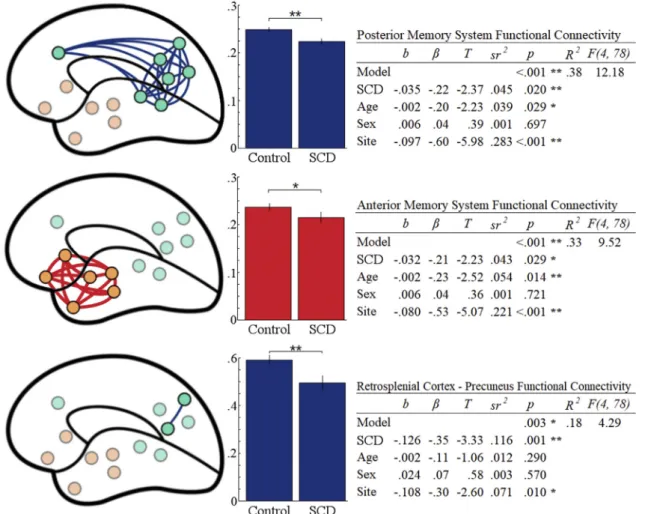 Fig. 2. Top: Average posterior memory system functional connectivity for individuals with and without SCD