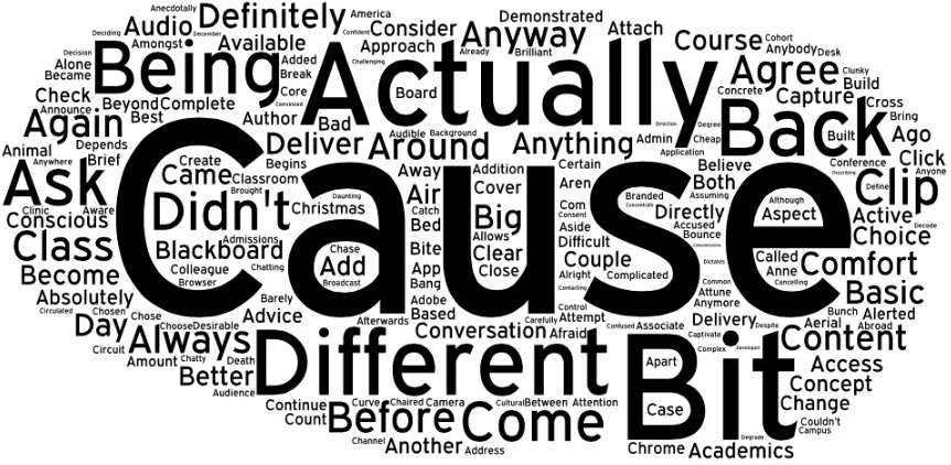 Figure 
  3: 
  Words 
  most 
  frequently 
  used 
  by 
  participants 
  during 
  lecturer 
  focus 
  group 
  